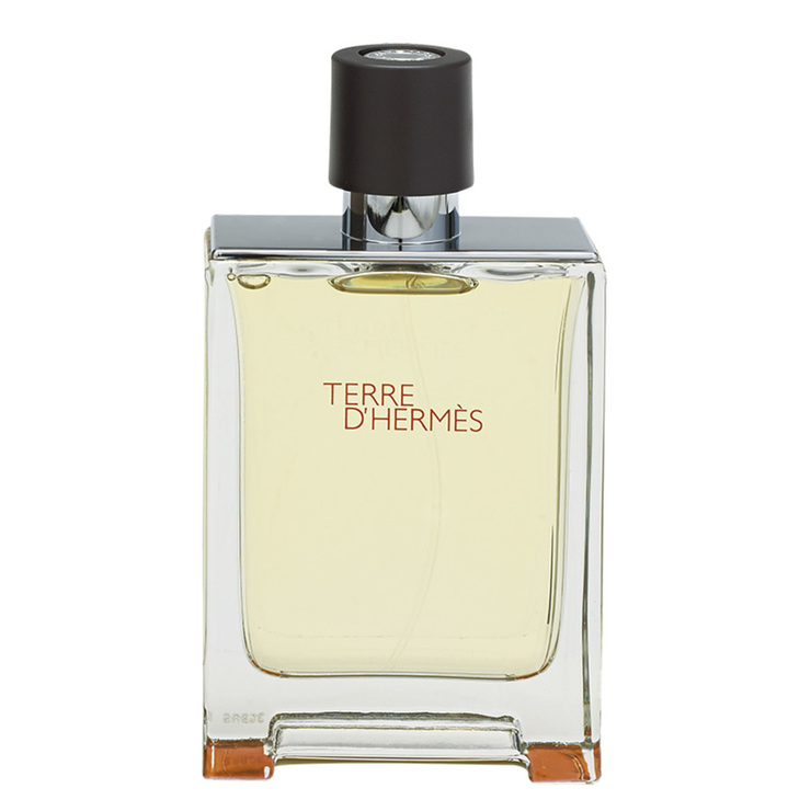 Hermes Terre d'Hermes 100 ml — Imagen 1 de 2