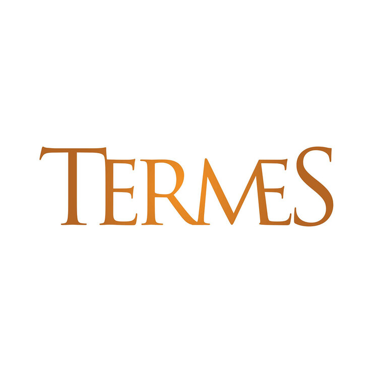 Vino Tinto Termes 750ml — Imagen 2 de 3