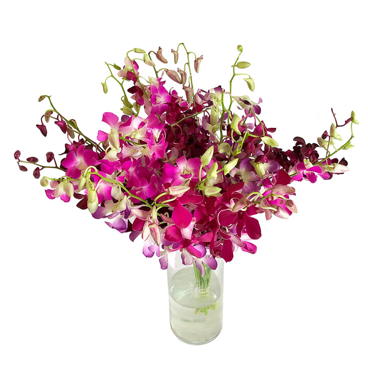 Chiltepec, Bouquet de Orquídea Dendrobium Multicolor — Imagen 1 de 2