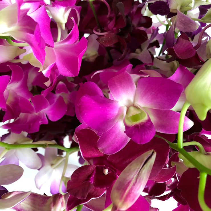 Chiltepec, Bouquet de Orquídea Dendrobium Multicolor — Imagen 2 de 2