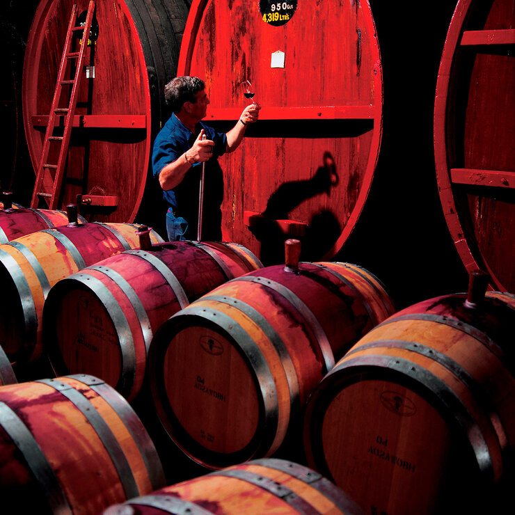 Vino Tinto Penfolds Bin 389 750ml — Imagen 2 de 3
