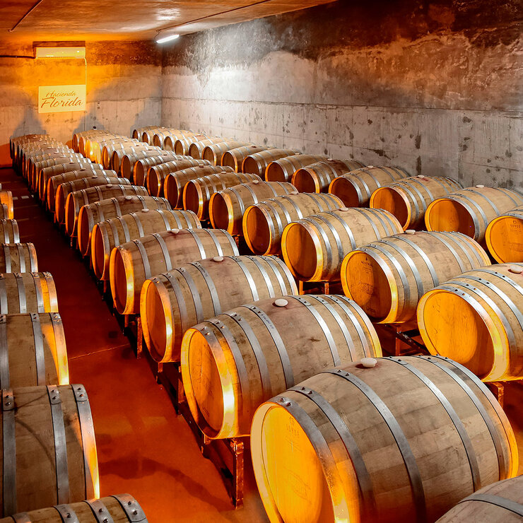Vino Tinto Hacienda Florida Malbec 750ml — Imagen 3 de 3
