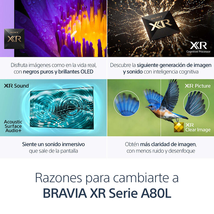 Sony Pantalla 65" OLED 4K UHD Smart TV — Imagen 2 de 4