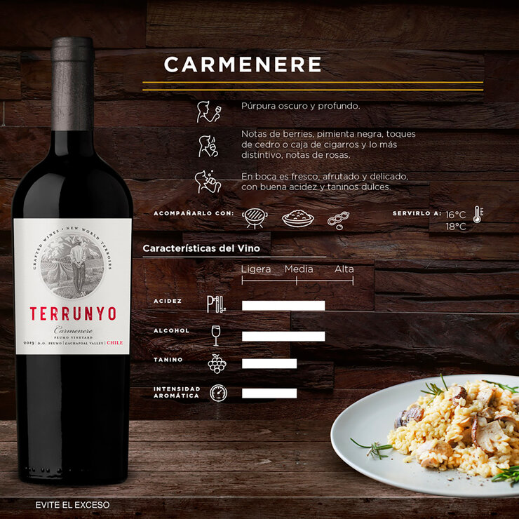 Vino Tinto Terrunyo Carmenere 750ml — Imagen 2 de 4