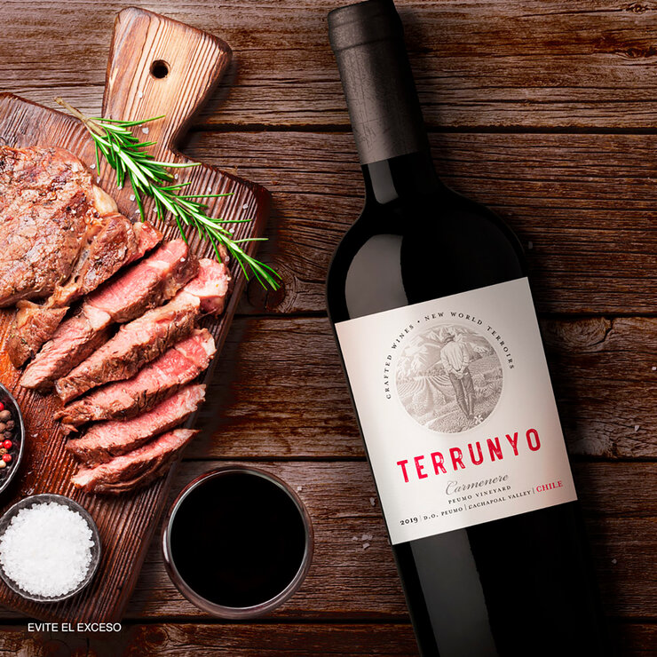 Vino Tinto Terrunyo Carmenere 750ml — Imagen 3 de 4