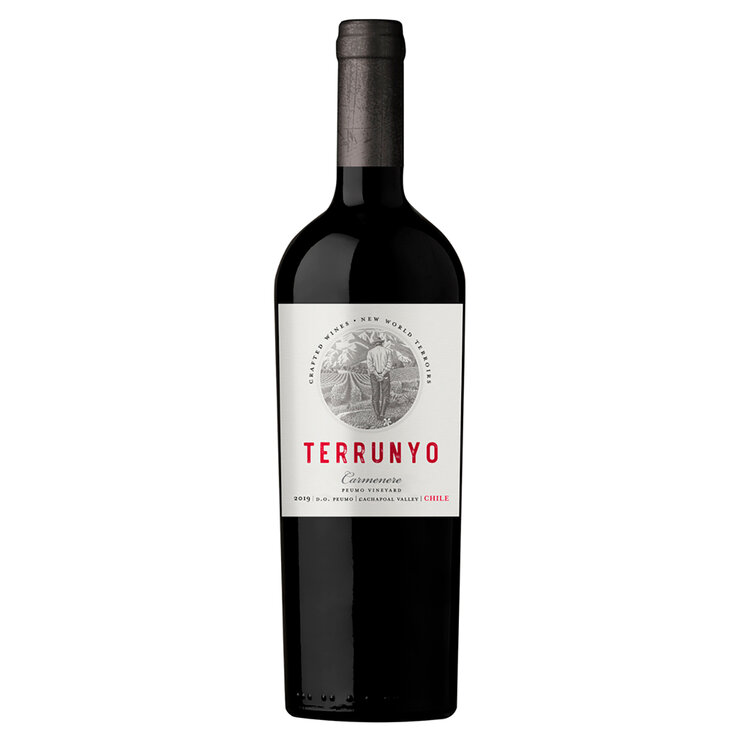 Vino Tinto Terrunyo Carmenere 750ml — Imagen 1 de 4