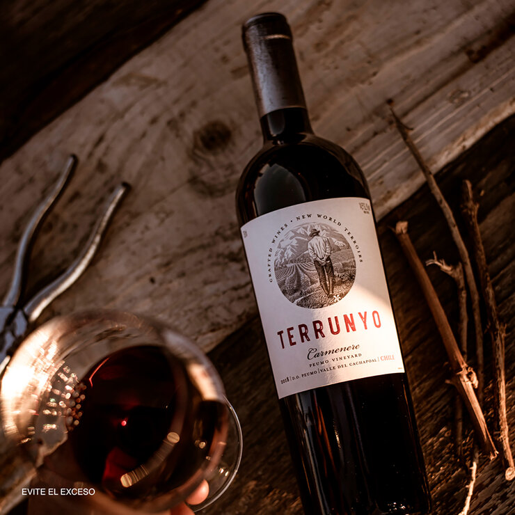 Vino Tinto Terrunyo Carmenere 750ml — Imagen 4 de 4