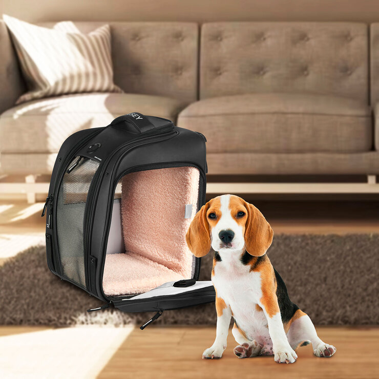 Delsey Bolsa Porta Mascotas tipo Mochila Raspail — Imagen 2 de 4