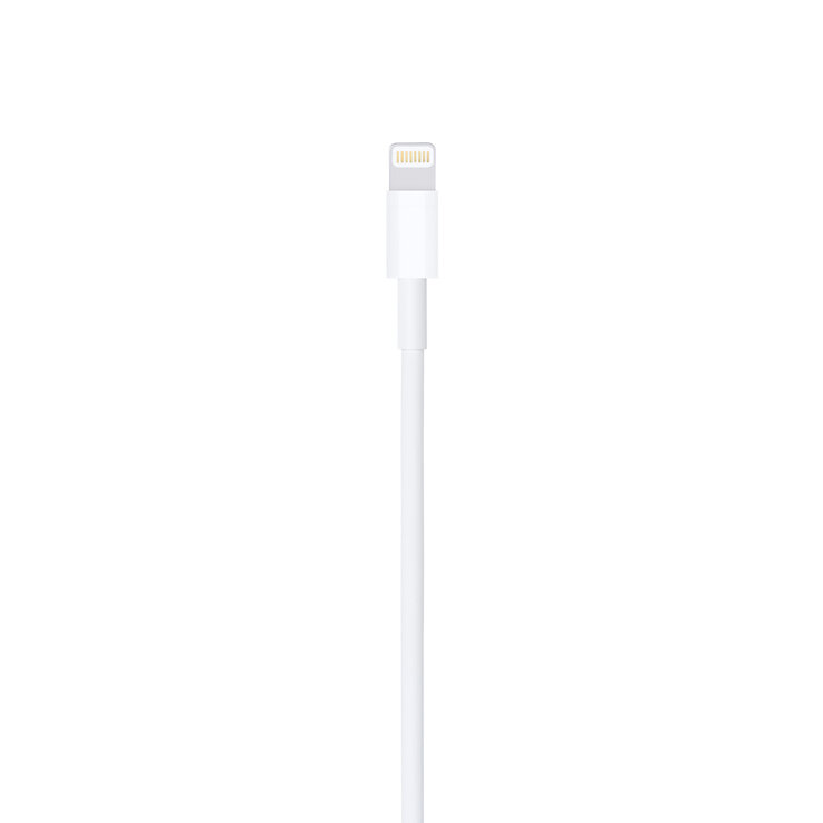 Apple Cable de Lightning a USB (0.5m)  — Imagen 2 de 3