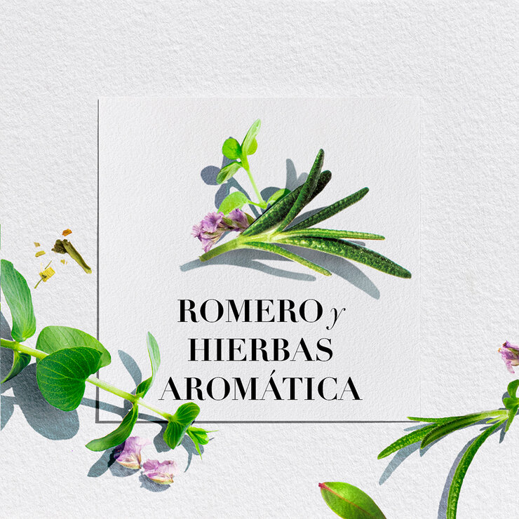 Herbal Essences Shampoo con Romero y Hierbas  865 ml — Imagen 3 de 4