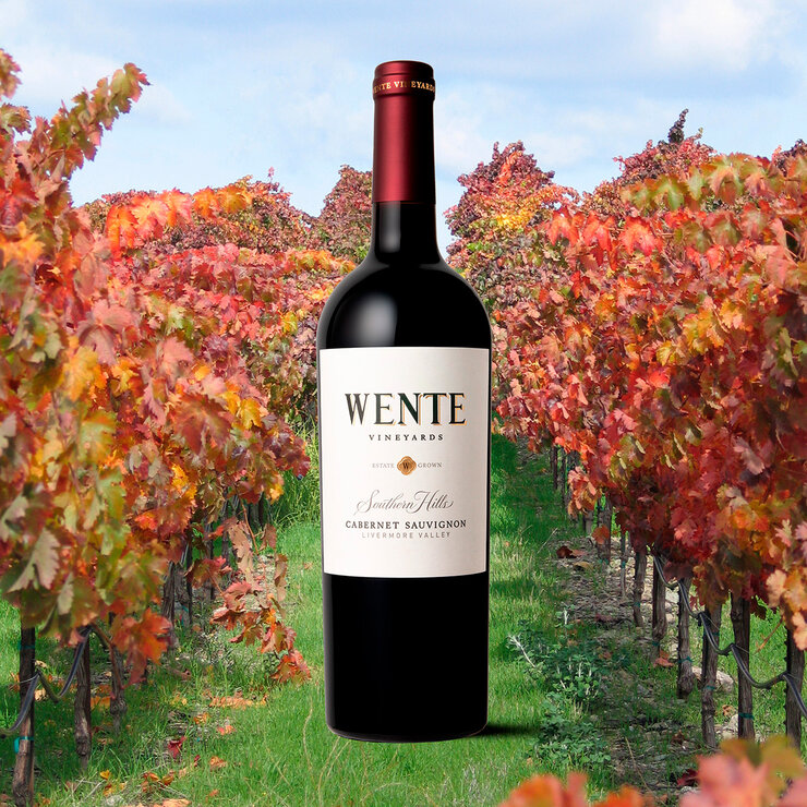 Vino Tinto Wente Southern Hills 750ml — Imagen 2 de 3