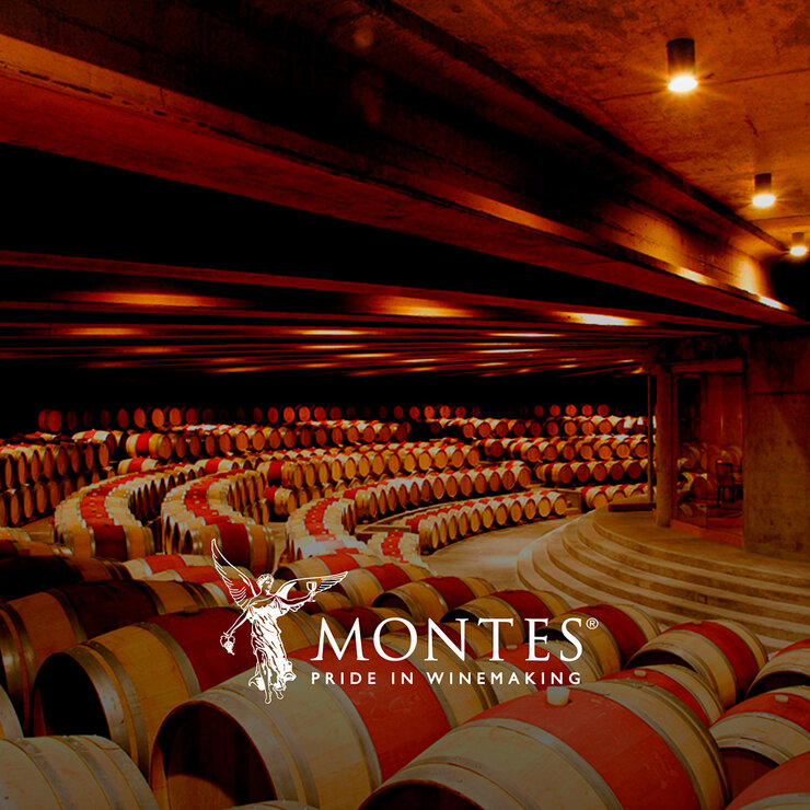 Vino Tinto Montes Classic 750ml — Imagen 2 de 3