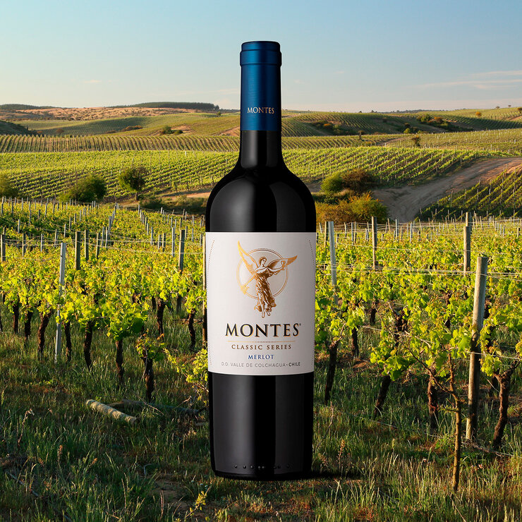 Vino Tinto Montes Classic 750ml — Imagen 3 de 3