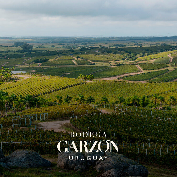 Vino Tinto Garzon Tannat Estate 750ml — Imagen 2 de 3