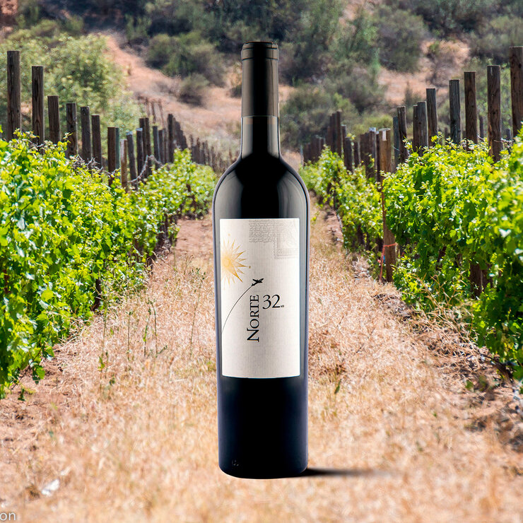 Vino Tinto Norte 32 750ml — Imagen 3 de 3