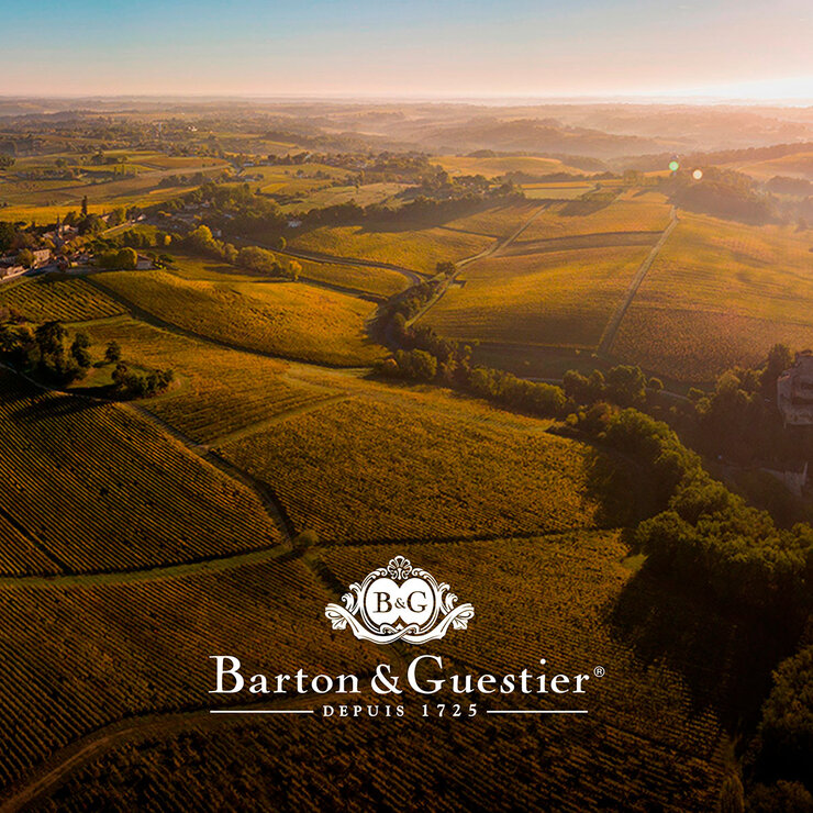 Vino Tinto Barton & Guestier Chateau 750ml — Imagen 3 de 3