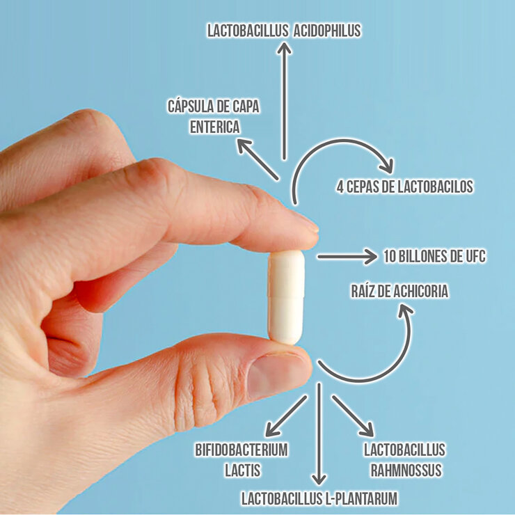 Healthaddiction Prebióticos y Probióticos 2 Frascos con 60 Cápsulas c/u — Imagen 3 de 4