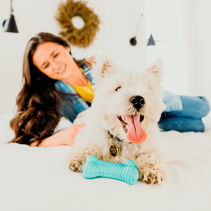 Playology Juguetes para Perro 3 pzas — Imagen 2 de 4