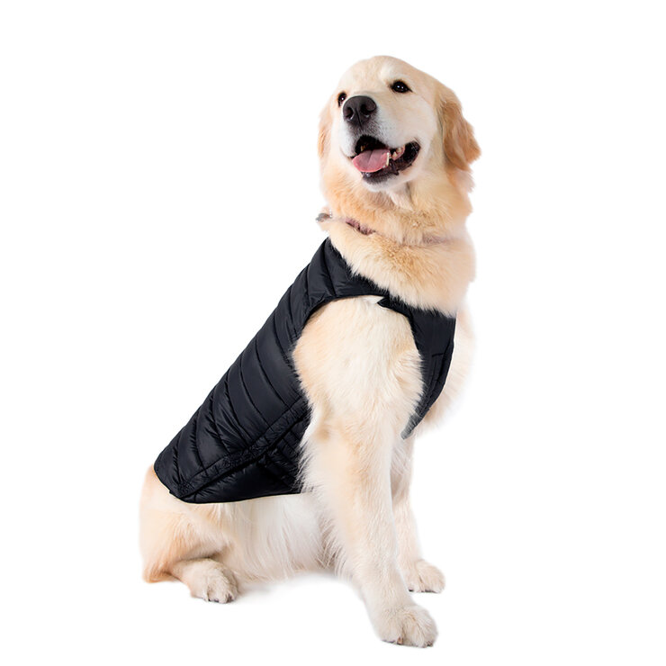 Shyla, Chaleco Capitonado para Perro Color Negro, Varias Tallas — Imagen 1 de 3