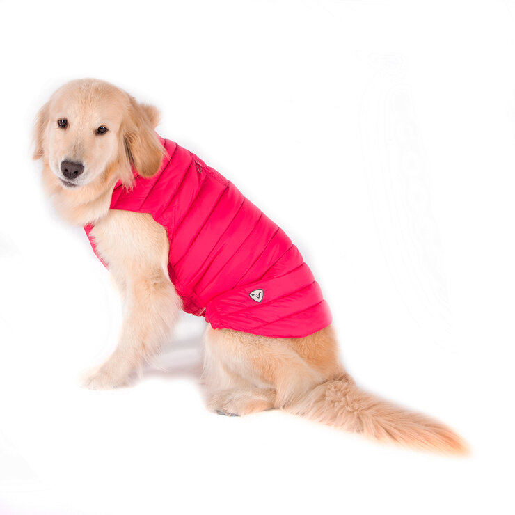 Shyla Chaleco para Perro Color Rosa, Varias Tallas — Imagen 1 de 3