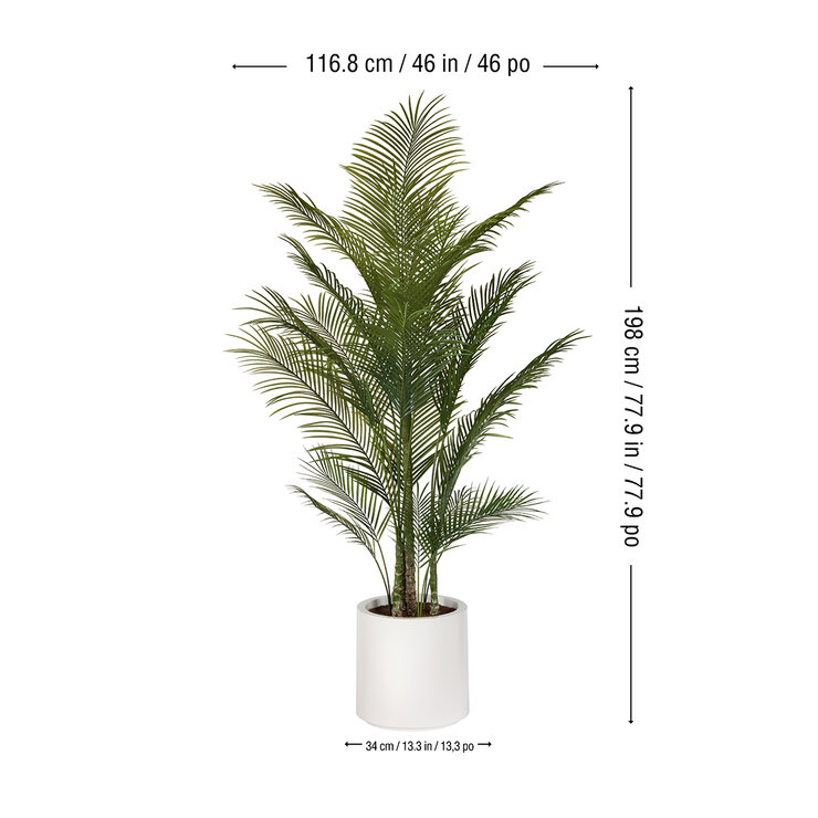 CG Hunter, Palmera Artificial — Imagen 2 de 4