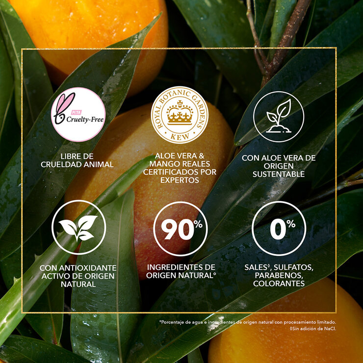 Herbal Essences Shampoo Bio:Renew Aloe & Mango Protege & Repara 865 ml — Imagen 2 de 4