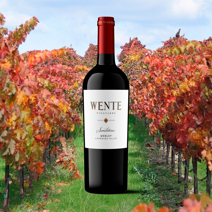 Vino Tinto Wente Sandstone 750ml — Imagen 2 de 3