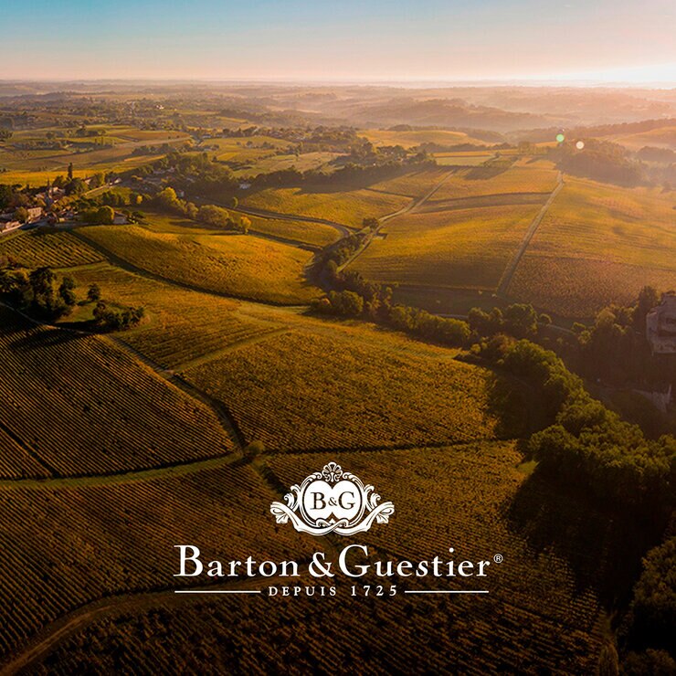Vino Tinto Barton & Guestier Beaujolais Villages 750ml — Imagen 2 de 3