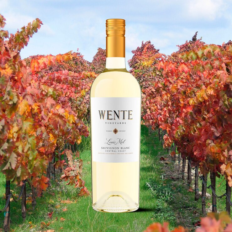 Vino Blanco Wente 750ml — Imagen 2 de 3