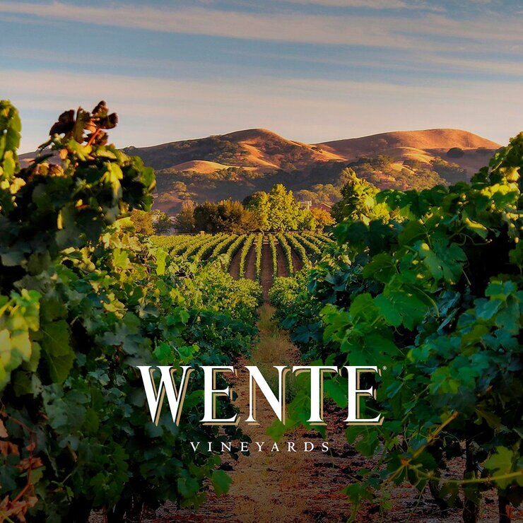 Vino Blanco Wente 750ml — Imagen 3 de 3