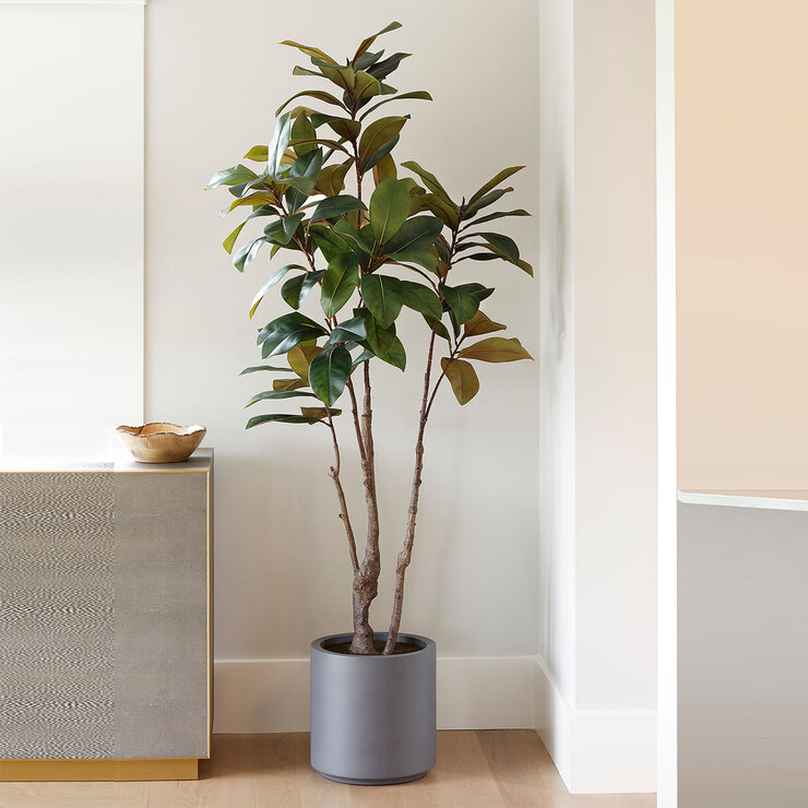 CG Hunter, Árbol de Magnolia Artificial — Imagen 1 de 4