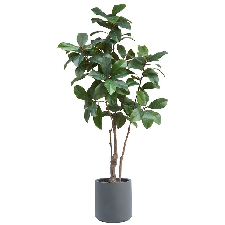CG Hunter, Árbol de Magnolia Artificial — Imagen 4 de 4