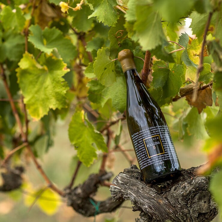 Vino Blanco Boggina 750 ml — Imagen 3 de 3